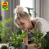 Terre pour Plantes Vertes - Monstera 5L - Écologique - Voir les images du produit 9