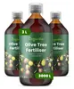 Drzewo Oliwne Nawóz Płynny 3x1 L – 2-1-8 NPK – Do Podgląd zdjęcia produktu 1