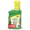 Neudorff Azet Kakteen & SukkulentenDünger 250ml Konzentrat Produktbild-Vorschau 1