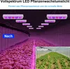 A greenhouse with rows of plants under LED grow lights, showing a comparison between 'before' and 'after' using the lights. Podgląd zdjęcia produktu