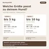 BoutiqueZOO Hundetragetasche S bis 5 kg gepolstert Produktbild-Vorschau 5