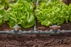 Valvola di regolazione/arresto del Micro-Drip System Anteprima dell’immagine prodotto 6