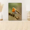MuchoWow® - Leinwandbilder - Vogel - Rotkehlchen - Produktbild-Vorschau 6