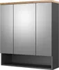 Specchio contenitore bagno Vicco Eden Antracite 70 x 77.5 Anteprima dell’immagine prodotto 1