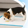 Trainingspads Welpenunterlagen für Hunde, Hygienische Pee Produktbild-Vorschau 9