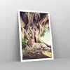 Poster - Poster ohne Rahmen - Tiger Wild Baum - 70x100 cm - Produktbild-Vorschau 7