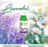 Air Wick Freshmatic Max Nachfüller Lavendel 3 x 250 ml Produktbild-Vorschau 7