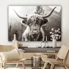 OneMillionCanvasses® - Plátno - Skotský horal - Kráva - Náhled obrázku produktu 7