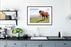 MuchoWow® Gerahmtes Poster Pferd - Licht - Schatten 80x60 Produktbild-Vorschau 4