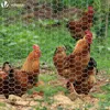 VOUNOT® Drahtzaun Sechskantgeflecht, Maschendrahtzaun, Produktbild-Vorschau 3