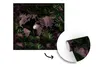 MuchoWow® Fototapete für Wohnzimmer oder Schlafzimmer Produktbild-Vorschau 3