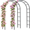 Gardebruk 2x Arco per Rampicanti 240x140x37cm Metallo Anteprima dell’immagine prodotto 1