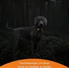 Weenect GPS Tracker XS Hund Schwarz Produktbild-Vorschau 11