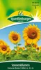 Sonnenblume, Einfache Riesen Produktbild-Vorschau 3