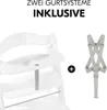 Hauck Alpha+ Seggiolone tradizionale Seduta rigida Bianco Anteprima dell’immagine prodotto 15