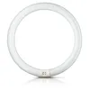 A circular fluorescent light bulb on a white background. Anteprima dell’immagine prodotto