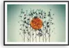 Gerahmtes Poster - Schwarzer Rahmen - Westen Sonne Gras - Produktbild-Vorschau 1