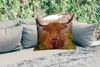 MuchoWow® Outdoor Kissen - Schottisches Hochlandrind - Produktbild-Vorschau 2