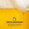 Klarstein Beerkules, systém na čapovanie a chladenie piva, Náhľad obrázku produktu 4