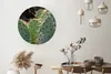 MuchoWow® Rundes Wandbild - Runde Bilder Botanischer Kaktus Produktbild-Vorschau 2