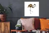MuchoWow® Poster Flamingo - Vogel - Panther Druck 50x50 cm Produktbild-Vorschau 2