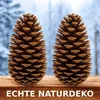 Two pinecones are displayed on a wooden surface with a blurred winter forest background. Produktbild-Vorschau