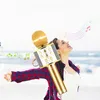 Profesjonalny bezprzewodowy mikrofon BT Głośnik karaoke KTV Podgląd zdjęcia produktu 6