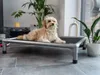 A small dog is lying on a raised dog bed indoors, with plants and a window in the background. Produktbild-Vorschau