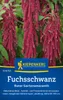 Kiepenkerl Fuchsschwanzsamen Roter Gartenamaranth Produktbild-Vorschau 3