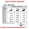 3 kg Royal Canin Anallergenic Small Dogs droogvoer voor Productafbeelding-voorbeeld 4
