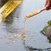 2 x 10 Liter (2,18 kg) Lyra Pond® Pond Colour Mix Light Produktbild-Vorschau 4