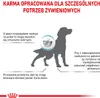 Royal Canin Veterinary Diet Canine Hypoallergenic 14kg Podgląd zdjęcia produktu 11