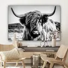 OneMillionCanvasses® - Plátno - Skotský horal - Příroda - Náhled obrázku produktu 7