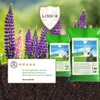 Kleintierwiese Samen 1kg – Futterwiese für Kaninchen Produktbild-Vorschau 3
