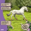 schleich BAYALA 14917, 5 Jahr(e), Mehrfarbig, Kunststoff Produktbild-Vorschau 5