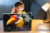 MuchoWow® Laptop Aufkleber Sticker Cover Vogel - Hornvogel Produktbild-Vorschau 3
