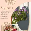2er Set Blumentopf Wand Blumentopf Wandmontage Produktbild-Vorschau 3
