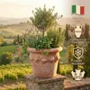 Teramico Terracotta Topf "Conca Limoni" 20cm optional Produktbild-Vorschau 4