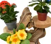 Teak Blumenständer Blumenpodest Pflanzentreppe Ständer Produktbild-Vorschau 6