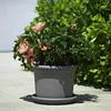 Piattino EURO3PLAST MEDEA 32cm antr. Anteprima dell’immagine prodotto 4