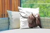 MuchoWow® Outdoor Kissen - Schottisches Hochlandrind - Produktbild-Vorschau 3