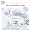 Ballons Bug Set Argent Voir les images du produit 2