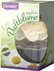 CLENTAIRE Raumduft Blume Spring Flower 75ml GL  | Stk Produktbild-Vorschau 1