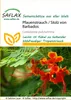 SAFLAX - Páví ker / Hrdosť Barbadosu - Caesalpinia Náhľad obrázku produktu 11