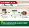 Legona Lagererzwespen gegen Kugelkäfer und Messingkäfer 3 Produktbild-Vorschau 4