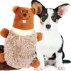 A plush beaver toy sits next to a corgi puppy. Anteprima dell’immagine prodotto