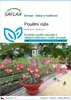 SAFLAX - pouštní růže - Adenium obesum - 8 Semena Náhled obrázku produktu 1
