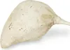 Baobab Frucht grau ca. 9-12cm | Adansonia digitata Produktbild-Vorschau 1