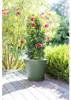 Pot polypropylène EDA 13611 v.la Diam.48 L.0 x H.39 cm vert Voir les images du produit 4