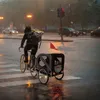 Hauki rimorchio per bicicletta e passeggino per cani 2in1, Anteprima dell’immagine prodotto 8